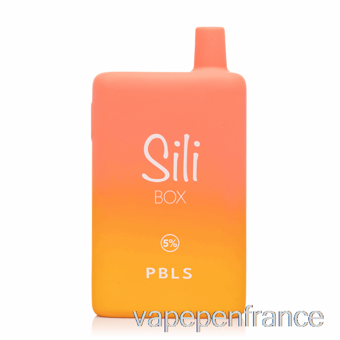 Stylo Vape Jetable Sili Box 6000 Pbls
